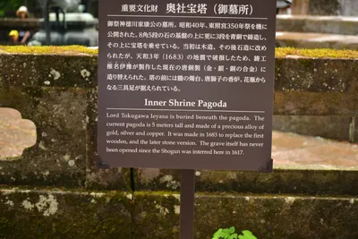 DSC_3899 (Large).JPG